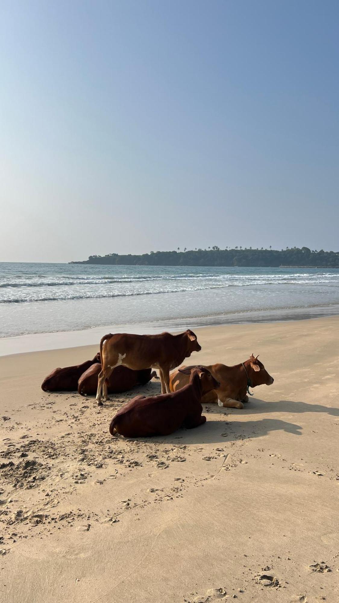 Relax Beach House Tangalle Exterior foto